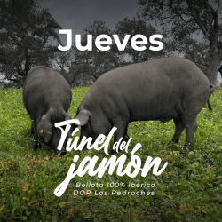 Jueves - Túnel del Jamón:...